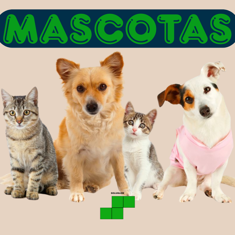 MASCOTAS